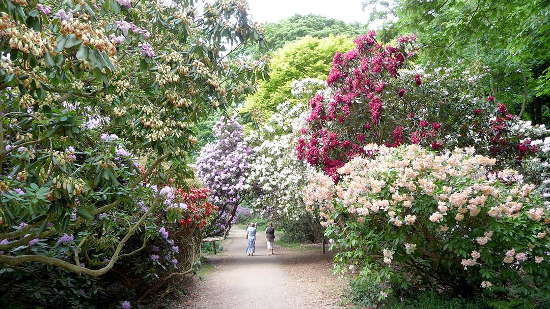 Sheringham Park (NT), Norfolk